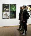 Albertina Museum (4)